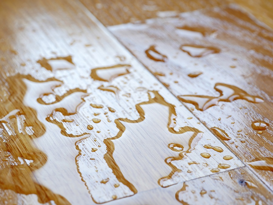 kiểm tra sàn gỗ có thật sự chống thấm nước hay không